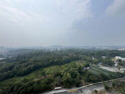 Pinetree Hill (D21), Condominium #615184181